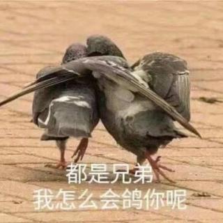 咸鱼怪谈第五一期丨古菇～顾～～～固🐦