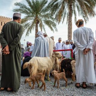 壮游者旅行团：阿曼漫游！适配五一假期版