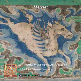 马，一种时代风貌：可过寻常生活，亦可征战，可飞天！