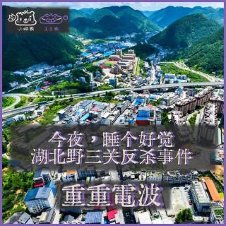 E62.今夜，睡个好觉：湖北野三关反杀事件