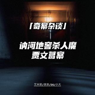 贾文葛案：讷河地窖杀人魔【奇案杂谈65】