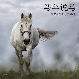 Vol. 527 马年说马（下）