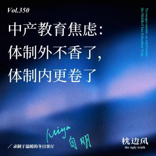 vol.350 中产教育焦虑：体制外不香了，体制内更卷了
