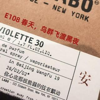 E108 春天，鸟群飞渡黑夜