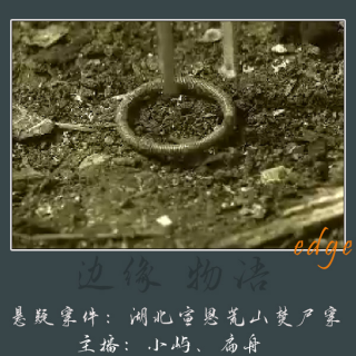 60.大年初一的悬赏令：湖北宣恩荒山焚尸案