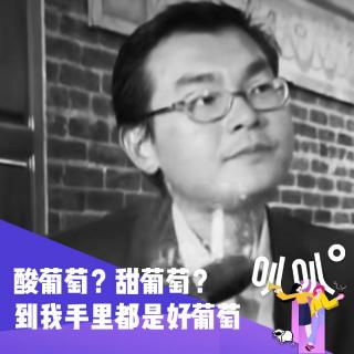 Vol.040 吃到葡萄也说葡萄酸：高档葡萄酒诈骗案