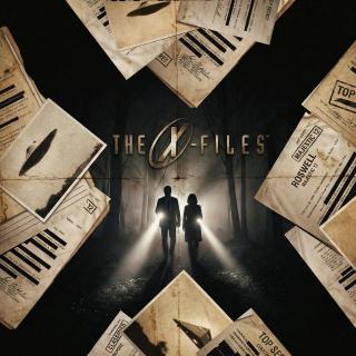 《X档案》FBI不会承认的真相