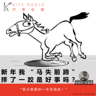 Vol.132| 新年我“马失前蹄”摔了一跤是好事吗？