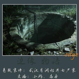 61.不可能的凶手：武汉月湖枯井女尸案
