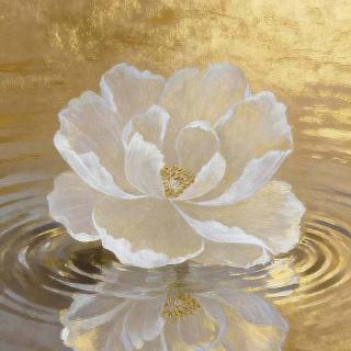 82-辛卯月运！别着急做决定啦，先慢下来做做“清理”吧