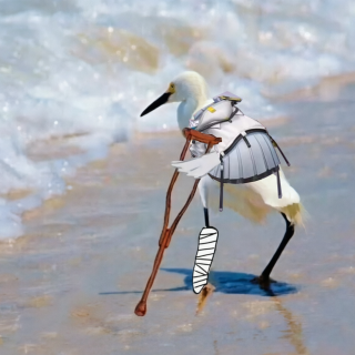 S.P.160终末地开服刚满月（下）