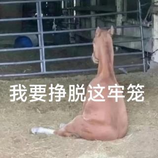 Vol.150 人生怕错过，全都怪网络