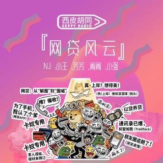 VOL429.网贷风云｜我是怎么被以贷养贷拖垮的