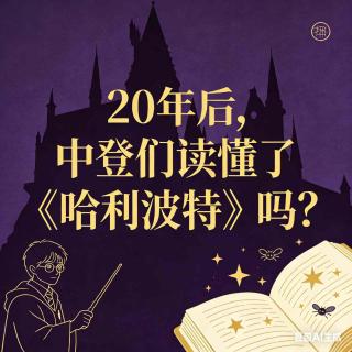 E93 20年后，中登们读懂了《哈利波特》吗？