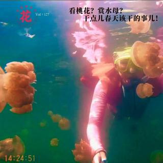看桃花？赏水母？干点儿春天该干的事儿！·花样更年华 Vol：127