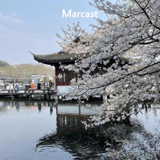 🌱 春日限定菜单：别等了，就从这些小事开始接住春天！| 隐藏菜单 12