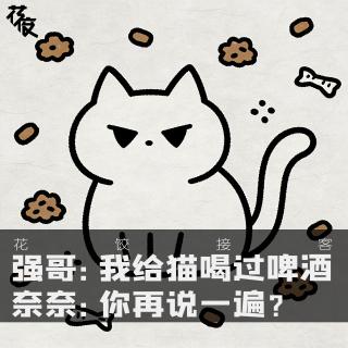 强哥：我给猫喝过啤酒。奈奈：你再说一遍？｜花饺接客【花饺的播客会客厅】
