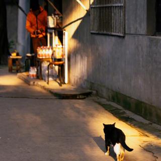 后来我才明白：光阴易逝，人生无常