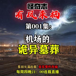 长篇故事【怪奇志-有凤来栖】 001……机场诡异墓葬