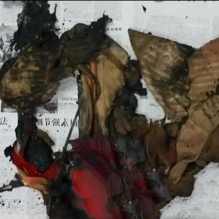 绝密档案 铁岭荒野焚尸案