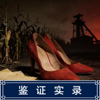 269.三案归一：辽源焚尸局