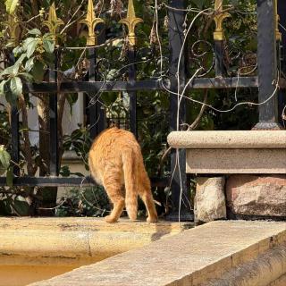 Vol.47｜保持思考，失去的东西会一件一件找回来的。