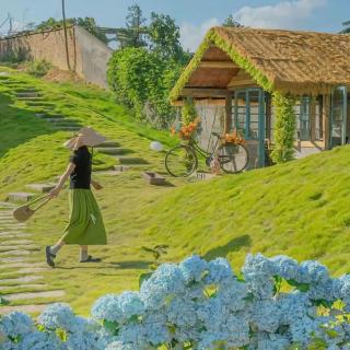 不要用消息“秒回”来试探一段感情