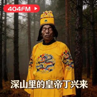 失踪调频X荔枝播客会客厅：谜案：深山里的皇帝丁兴来 VOL134