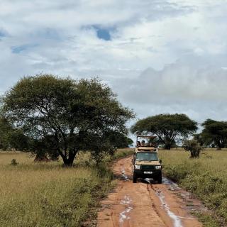 Vol. 104 Safari野生动物巡游大推荐