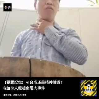 精神怪癖还是AI合成？ 全网震惊的越南屠夫事件丨犯罪纪实