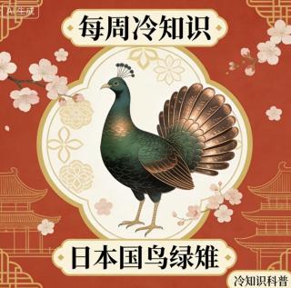 每周冷知识：日本国鸟“绿稚”的秘密
