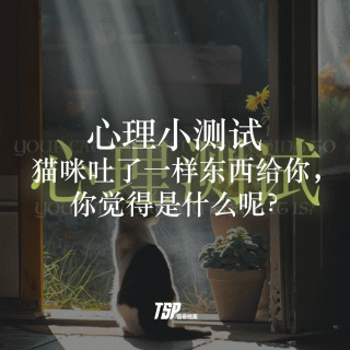 心理小测试：猫咪吐了一样东西给你，你觉得是什么呢？