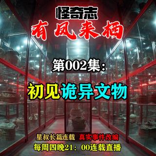 长篇故事【怪奇志-有凤来栖】 002……初见诡异文物