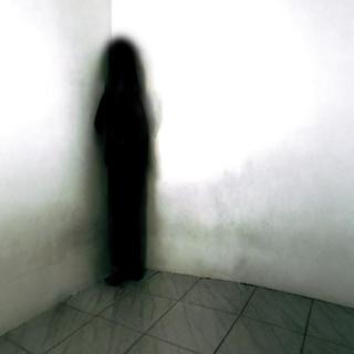 追到上海的邪祟、骂掉魂儿、照片里的人、女先生给的护体符、成全姑爷