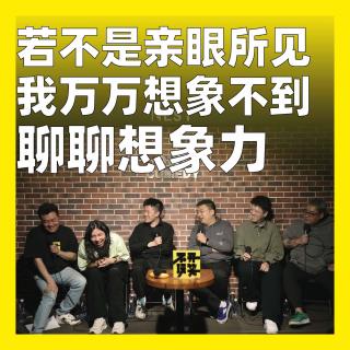 236.若不是亲眼所见，我万万想象不到：聊聊想象力