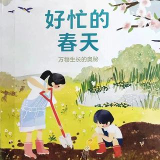 《好忙的春天》【英】肖恩·泰勒