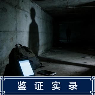 271.网红女模离奇失踪，DNA物证牵出一场精心策划的犯罪