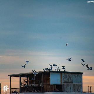 400期 - 简易楼，防空洞，废墟，基地……心中的避难所和说不清的回忆