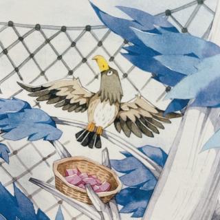 睡前故事3193《企鹅寄冰》之《命运不同的两只鹰》