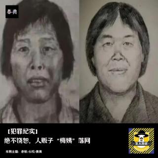 绝不饶恕，人贩子“梅姨”落网丨犯罪纪实