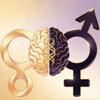 顶级人格都是雌雄同体：如何为大脑安装两套能力系统？