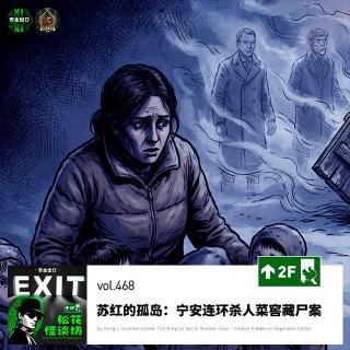 vol.468 苏红的孤岛：宁安连环杀人菜窖藏尸案