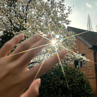 总有人爱你，需要你，陪着你。