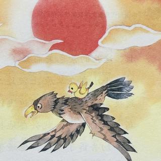 睡前故事3195《企鹅寄冰》之《鹰背上的小小鸟》