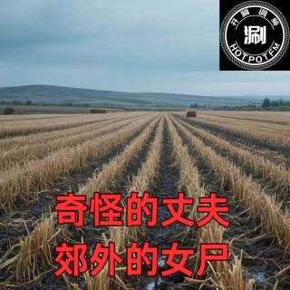 开涮说案 奇怪的丈夫；郊外的女尸