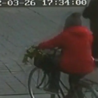 绝密档案 灭门背后的孽情