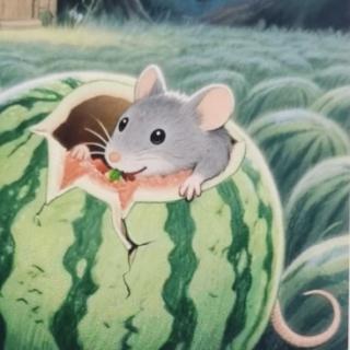 小老鼠吃西瓜——睡前故事