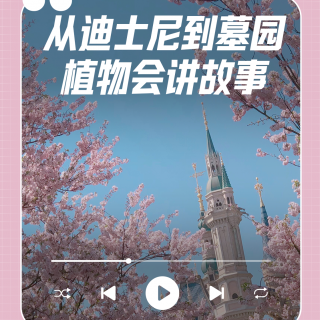 从迪士尼到福寿园，一位园艺师的“两座花园” | 清明特辑