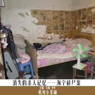 消失的杀人记忆——海宁碎尸案