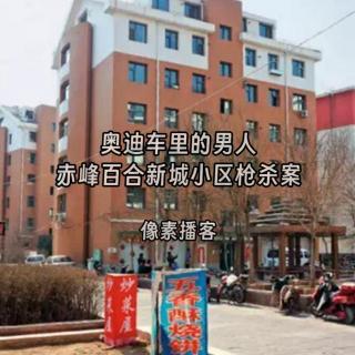 61.奥迪车里的男人：赤峰百合新城小区枪杀案